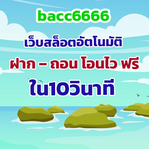 bacc6666web