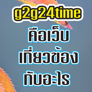 g2g24timeweb